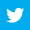 social_logo_30px_twitter